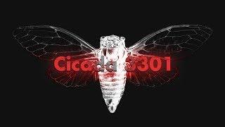 Cicada 3301 An Internet Mystery