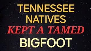 TENNESSEE NATIVES KEPT A TAMED BIGFOOT