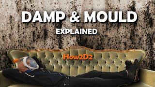 Black Mould Damp and Condensation Explained  How to get rid of Black Mold