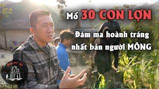 Đám M.A siêu to M.Ổ hơn 30 con lợn và CÁI KẾT