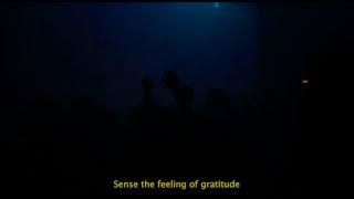 DJ Gigola – Gratitude Practice Video Edit LFE014