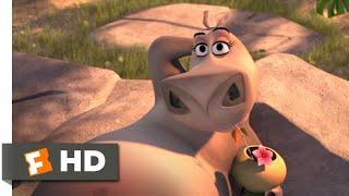 Madagascar Escape 2 Africa 2008 - Moto Moto Likes You Scene 410  Movieclips