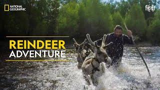 Reindeer Adventure  Primal Survivor  हिन्दी  Full Episode  S1 - E3  National Geographic