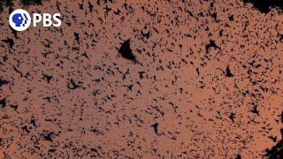 Bat Volcano Erupts at Night