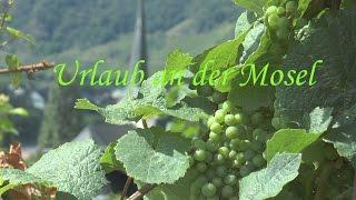 Urlaub an der Mosel