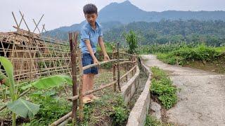 Nam - poor boy Gardening and growing green vegetables. Make bamboo fences around the house