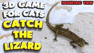 3D game for cats  CATCH THE LIZARD isometric view  4K 60 fps stereo sound