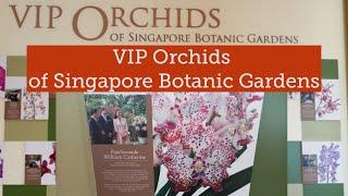 VIP Orchids Garden  VIP Orchids of Singapore Botanic Gardens