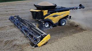 Monster Combine Harvester in Italy  New Holland CR 11  First in Europe  Wheat Harvest 2024