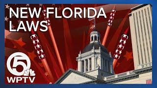 Here are the new laws starting July 1 in Florida