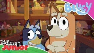  Superfan Quiz  Bluey  Disney Kids