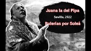 Juana la del Pipa por Bulerías por Soleá Sevilla 2022