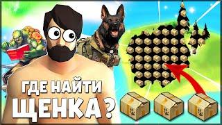 НА ЭТОЙ ЛОКАЦИИ ЕСТЬ 100% ЩЕНКИ ГДЕ НАЙТИ ЩЕНКОВ НОВИЧКАМ? – Last Day on Earth Survival