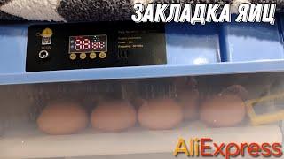 Закладка яиц в инкубатор с AliExpress