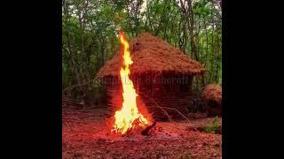 Ultimate Bushcraft Crafting a Log Cabin with Grass Roof & Clay Fireplace