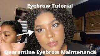 My Eyebrow Routine In Quarantine   Cheap And Easy  How I Maintain My Thick Eyebrows