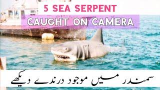 5 SEA SERPENT CAUGHT ON CAMERA  MOST DANGEROUS SERPENT IN THE WORLD  SCARY VIDEOS  HORROR SCENES