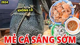 Mẻ Cá Sáng Sớm Bội Thu Và Bữa Cá Nhâm Chỉ Tái Chanh Giải Nhiệt Trên Biển  Anh Ngư Phủ #757