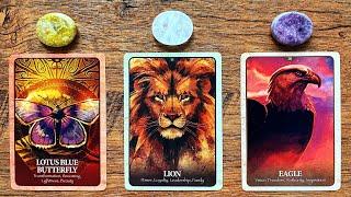 WHERE IS YOUR LIFE READY TO TAKE YOU NEXT?   Pick a Card Tarot Reading