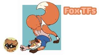 Fox Transformation  Fox TF