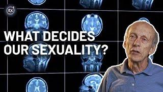 Can science explain our sexual orientation?  Experts Explain