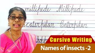 Names of insects -2  How to write English Cursive writing  Cursive handwriting Part-26