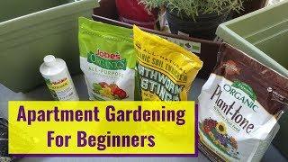 How To Grow An Easy Patio Apartment Container Garden For Beginners