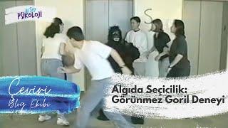 Algıda Seçicilik Görünmez Goril Deneyi I Çeviriden BiŞeyler