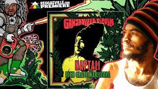 Naptali - High Grade Marijuana Ganjaville Riddim  Official Audio 2022