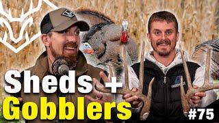 SHEDS & GOBBLERS  Recent Success and Upcoming HUNTS