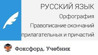 Орфография Правописание окончаний прилагательных и причастий. Центр онлайн-обучения «Фоксфорд»