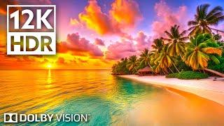 Real Paradise 12K Dolby Vision HDR 120fps