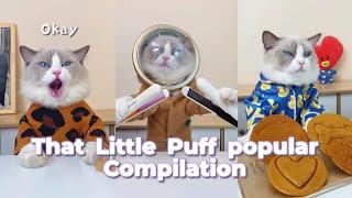 That Little Puff Compilation  the most popular collection1 #thatlittlepuff #catsofyoutube