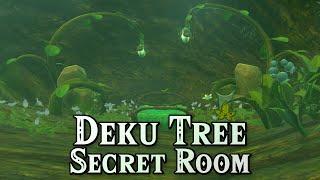 Deku Tree Secret Room - Korok Fabric Location Zelda TOTK