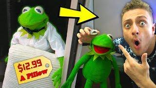 Kermit the Door Salesman GONE WRONG