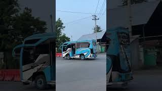 Pesona bus 34 #busmania #bismania #buspariwisata #busmaniacomunity