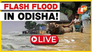 OTV LIVE Cyclone Dana Aftermath  Flood Situation In Odisha