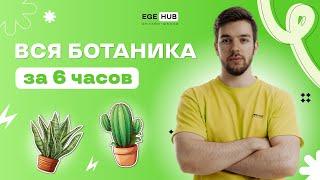 ВСЯ БОТАНИКА ЗА 6 ЧАСОВ ДЛЯ ЕГЭ 2024  EGE hub