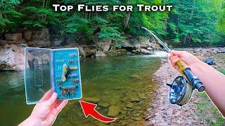 The BEST Flies for Trout  Fly Fishing for Beginners Streamers Nymphs Dry Flies