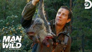 Bear Grylls Jaw-Dropping Hunt for a Wild Pig  Man Vs. Wild  Discovery