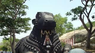 Nandi Gayatri Mantra  Chanting this Mantra on Pradosham helps people with Troubled & Restless Minds