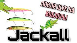 Щуки на воблеры Jackall.jackall rerange и его копия.