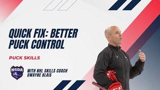 QUICK FIX Better Puck Control