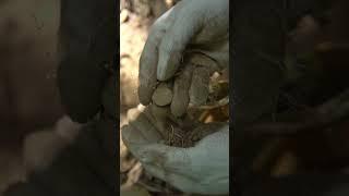 Big Treasure Hunt  #metaldetecting