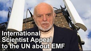 International Scientist Appeal on Electromagnetic Fields EMF Martin Blank PhD Spokesperson