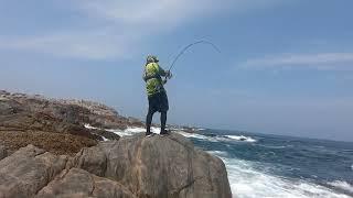 The Best Fishing Spot for Catching Mullet  Fishing in Oman