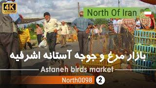 ولاگ بازار مرغ و جوجه آستانه اشرفیه گیلان 4k شمال ایران - birds market Gilan north of Iran