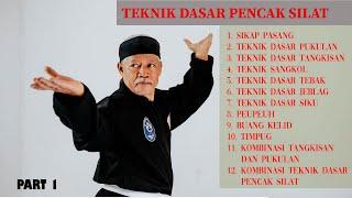 How to learn pencak silat  Basic Silat Techniques PART 1 #pencak #silat