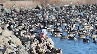 COMBINING Goose Calling BASICS To Sound Like A FLOCK