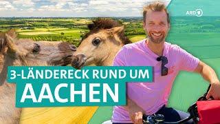 Urlaub im Dreiländereck zwischen Aachen Maastricht und Lüttich  ARD Reisen